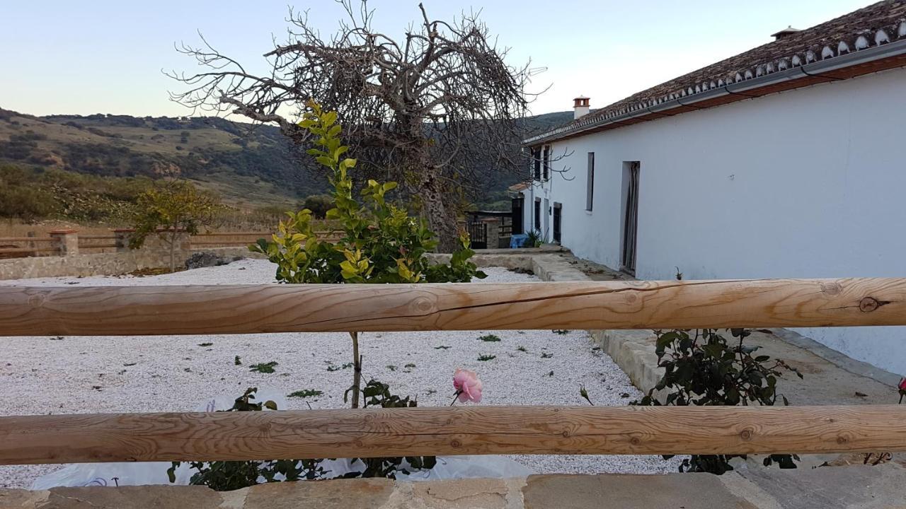 Cortijo La Laguna Ronda Extérieur photo